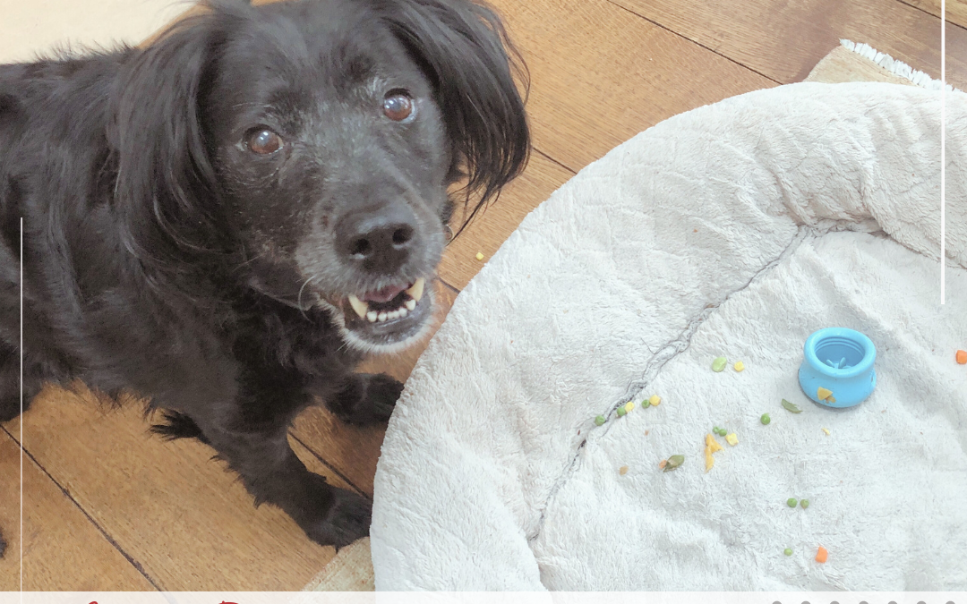 My Grief Journey Two Years In