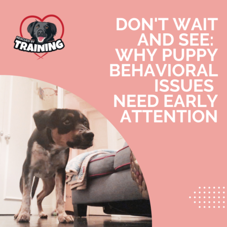 fearful puppy leaning in