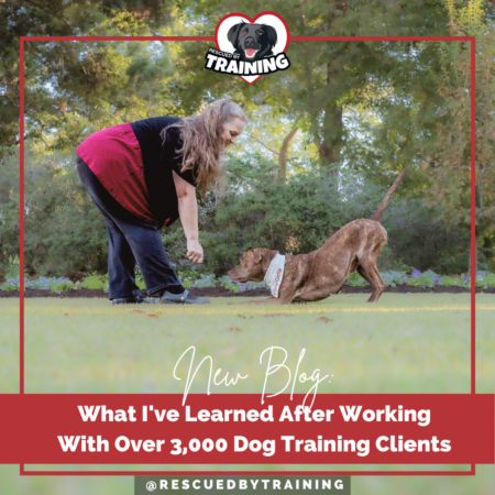 3000 clients