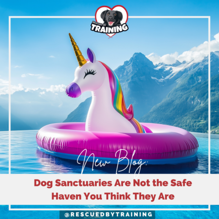 unicorn pool float