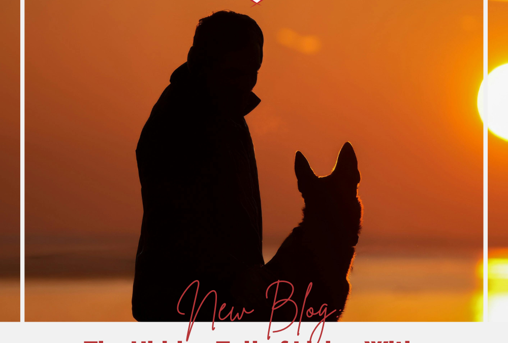 The Hidden Toll of Living With a Reactive or Anxious Dog