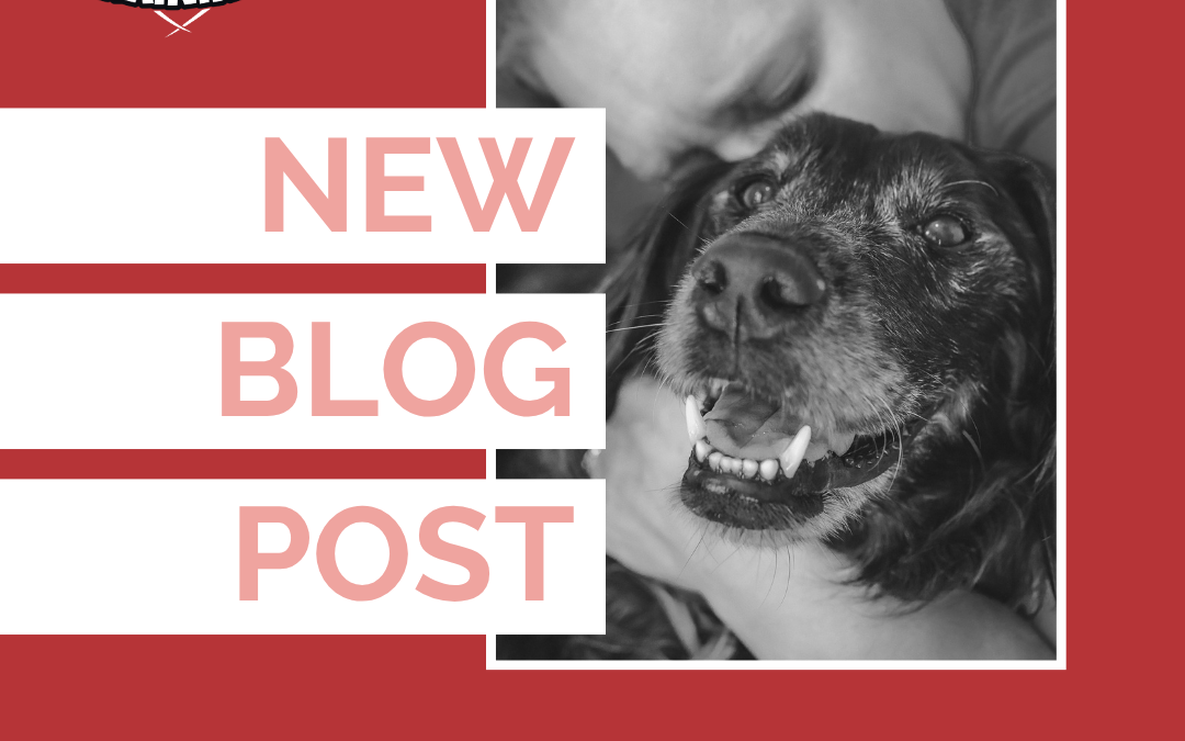 Caregiver Burnout When Caring for a Sick or Dying Dog | Rescued By Training