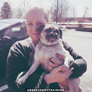 pug being held