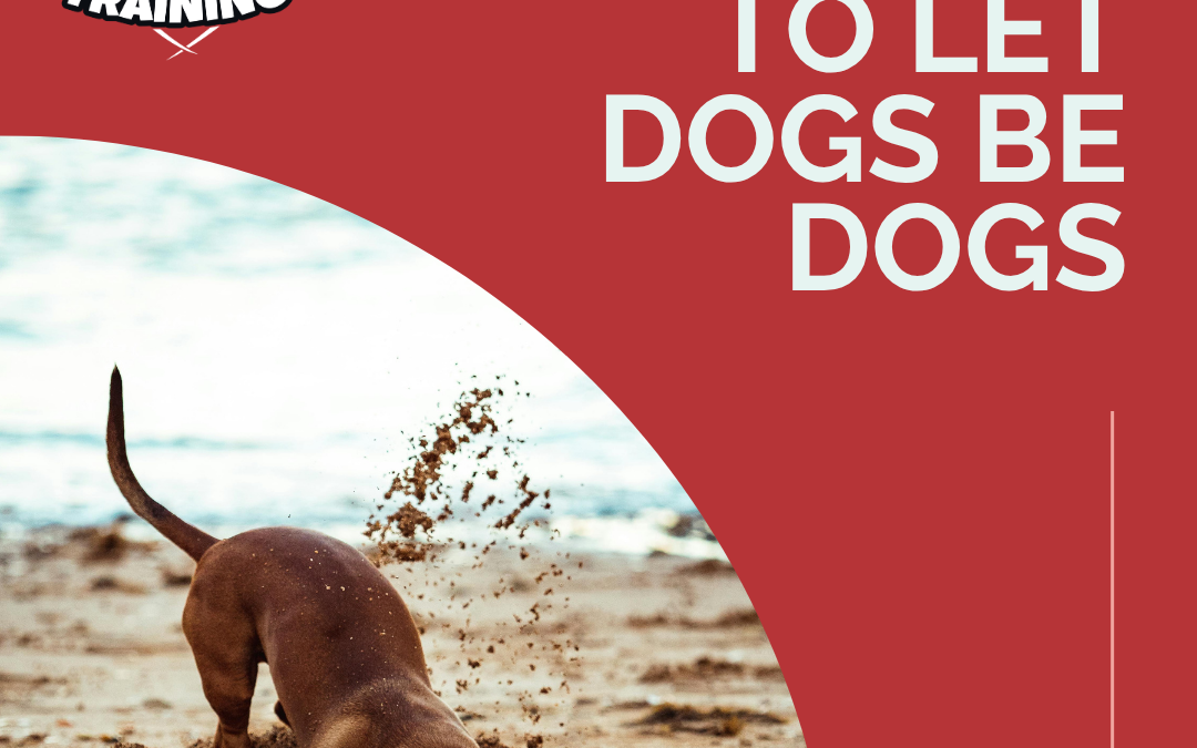 It’s Time to Let Dogs Be Dogs