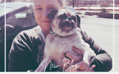 Sometimes Rehoming Your Dog Is The Right Decision