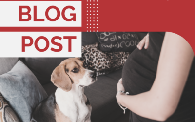 How Early To Start Preparing Dog for a Newborn