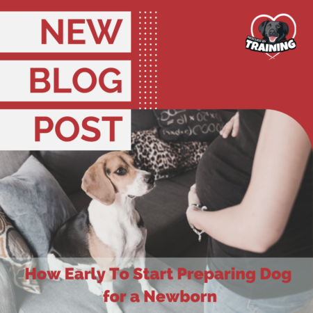 2026preparedogforbaby