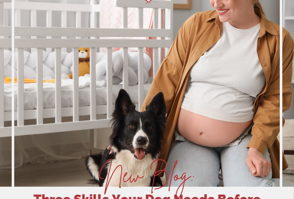 Three Skills Your Dog Needs Before Your Baby Arrives