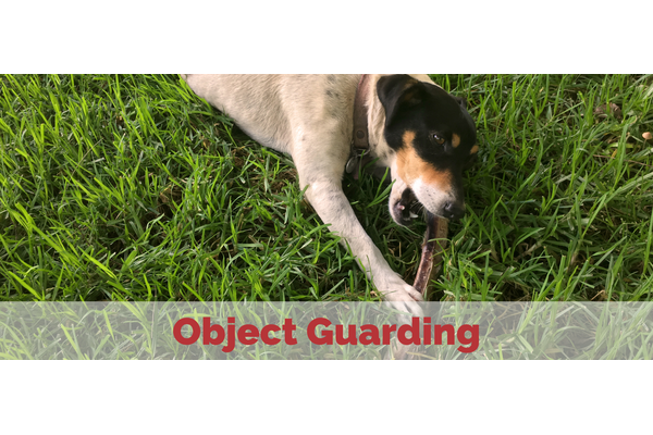 Object Guarding