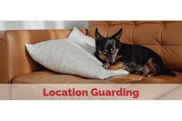 Location Guarding