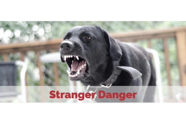 Stranger Danger