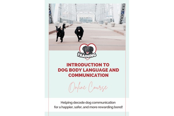 Module 4: Dog Body Language and Communication – Signs of anxiety, stress or discomfort