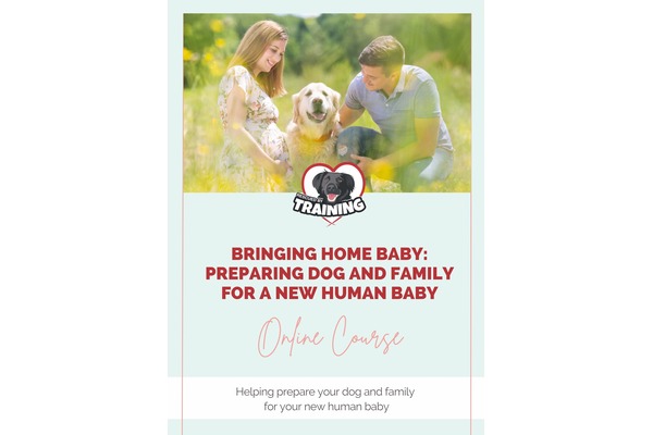 Bringing Home Baby: Preparing Dog and Family For A New Baby