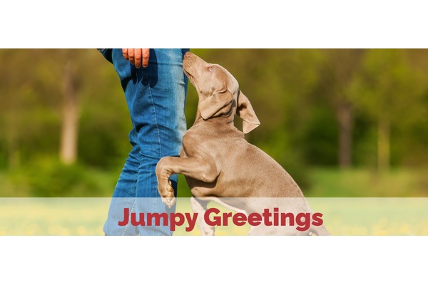 Jumpy, Overly Friendly Greeters