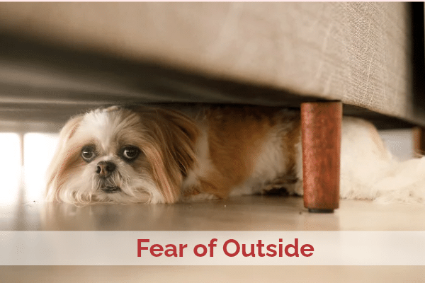 Fear of Outside
