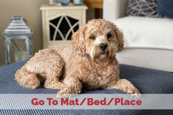 Go to Bed/Mat Playlist
