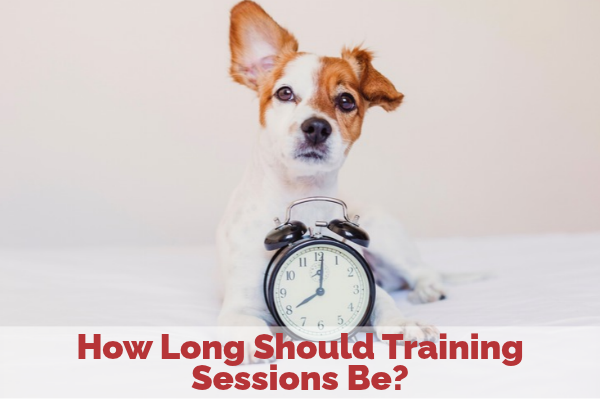 Module 2: Interval Training in Dog Training