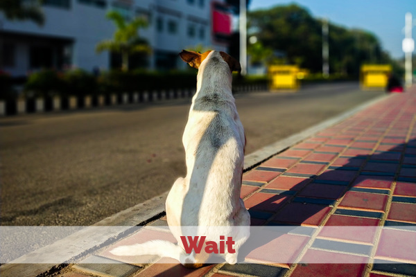 Wait Playlist