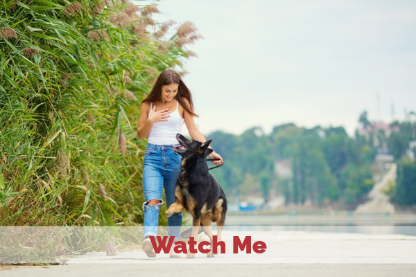 Watch Me Playlist
