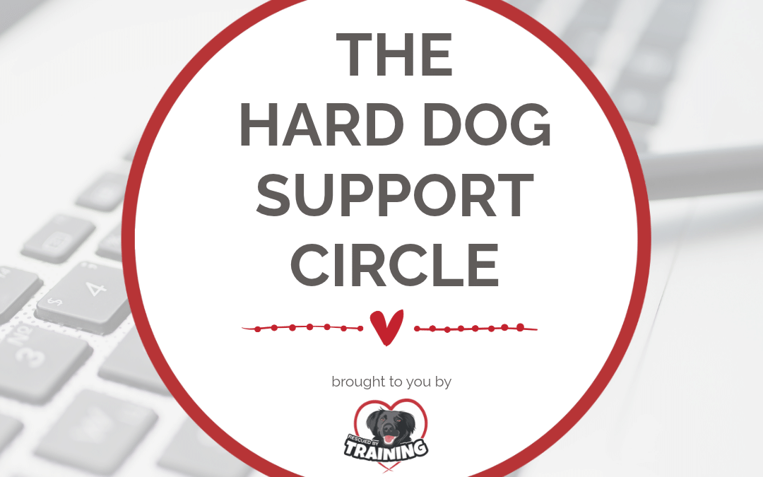 Hard Dog Support Circle Waitlist | Rescued By Training