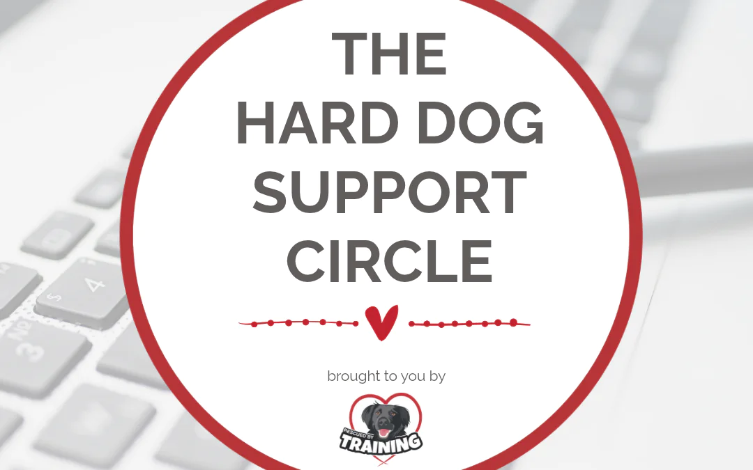 Hard Dog Support Circle Waitlist | Rescued By Training