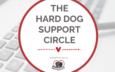 Hard Dog Support Circle Waitlist | Rescued By Training
